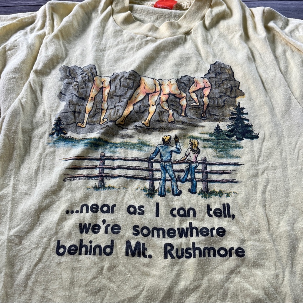 Vintage 1979 Graphic T-Shirt 70s Humor Mount Rushmore Bottoms Mens Size S/M - Picture 2 of 10